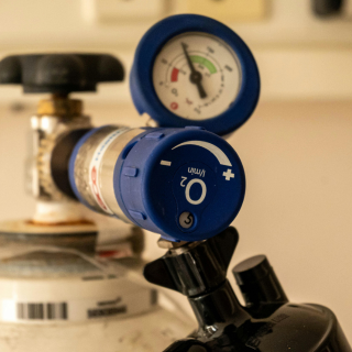 gas safety